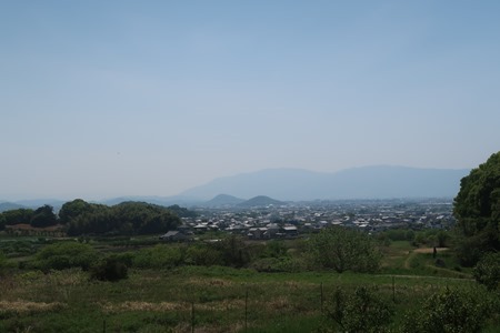 IMG_8722