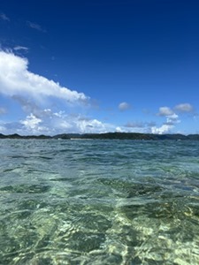 IMG_6487